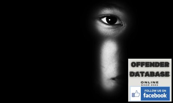 paedophiles sting international