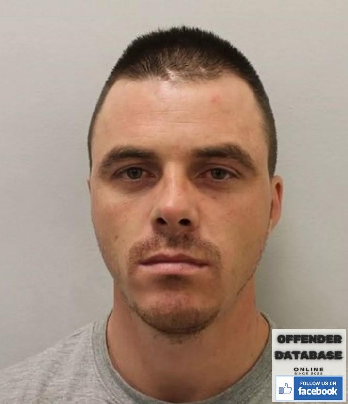 Serban Scinteianu rapist sex offender Brixton