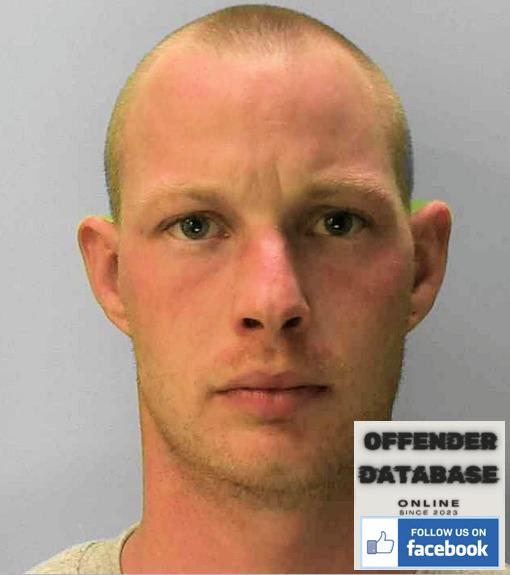 William Harris Paedophile rapist sex offender Crowborough handyman