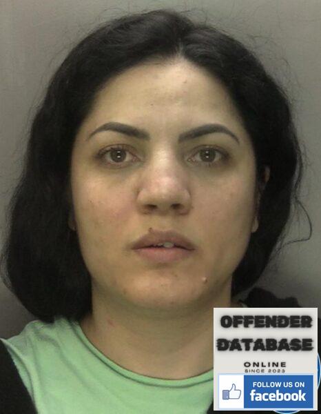 andreea vasile sex offenders human trafficking