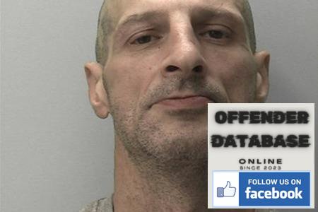 cosmin nicolae vasioiu romania rapist sex offender exeter