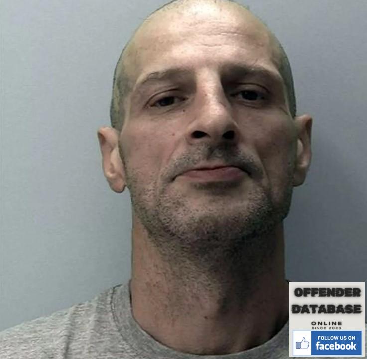 Cosmin-Nicolae Vasioiu paedophile rapist child sex offender - Exeter