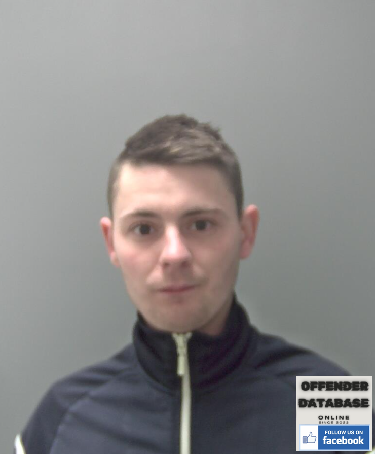 daniel outing paedophile sex offenders rapist