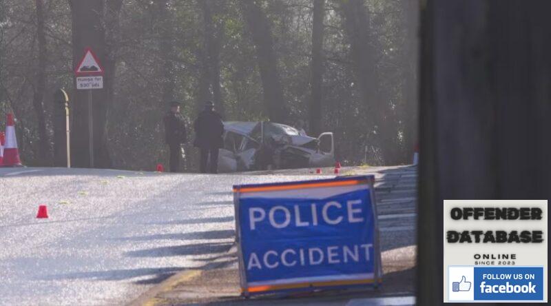 decoy crive eastbourne road traffic deaths