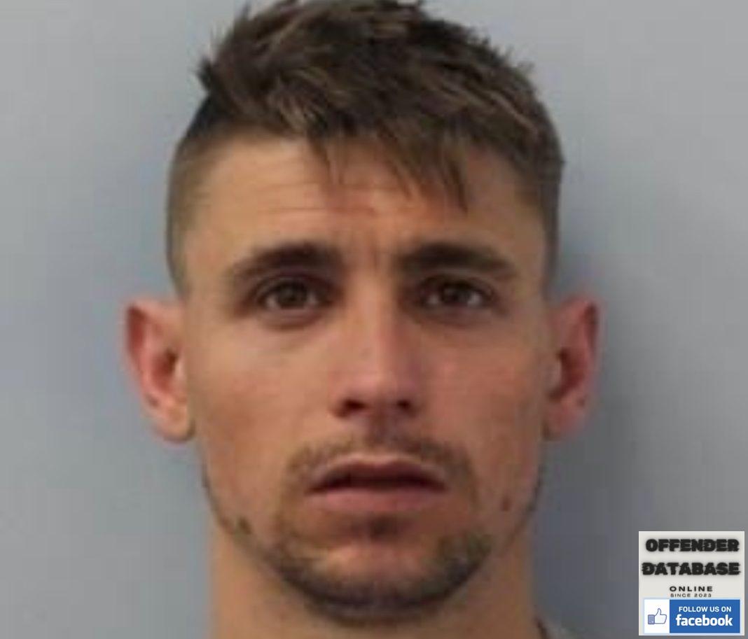 dragos razvan vacariu rapists sex offender