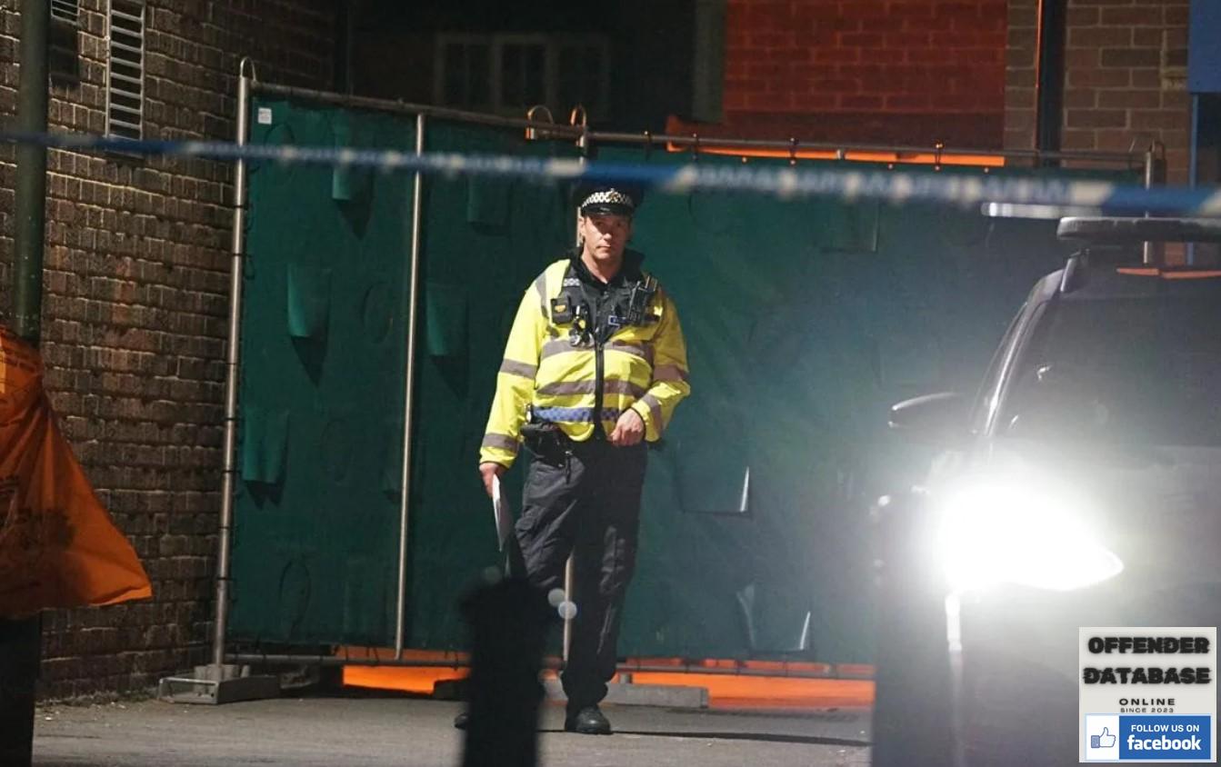 Hailsham sex offender - murder town centre