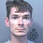 James Davies rapist sex offender - Swansea