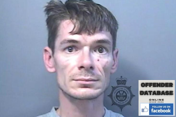 James Davies rapist sex offender - Swansea