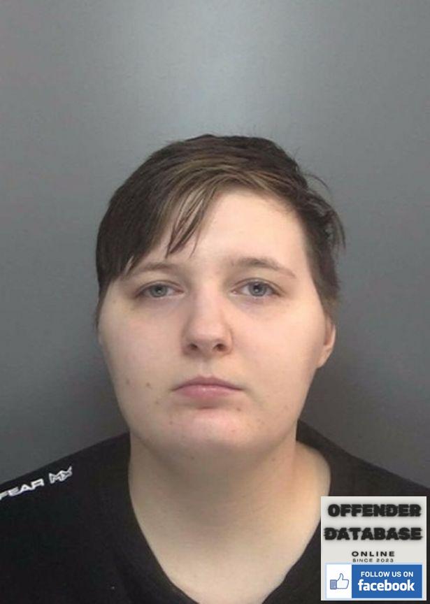 jay ferguson paedophile sex offender