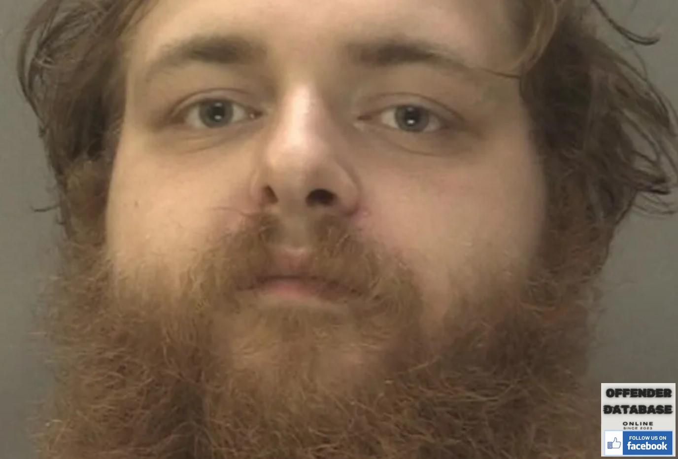 marcus newton paedophile child sex offender birmingham