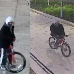 Black man sought - woman raped in Albert Park in Middlesbrough