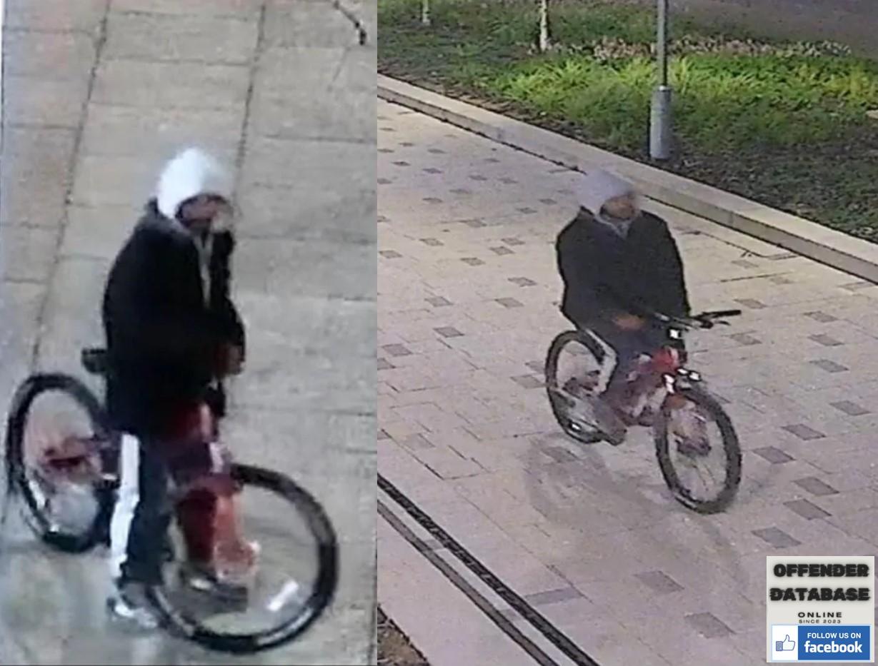 Black man sought - woman raped in Albert Park in Middlesbrough