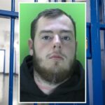 Harry Palmer paedophile child sex offender - Hucknall