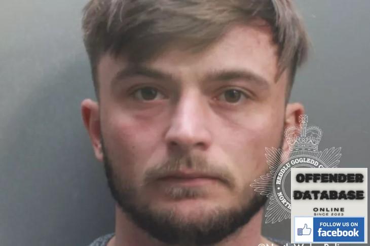 Joshua Waldron paedophile child sex offender - Flintshire