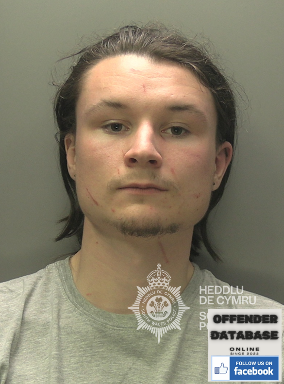 Leo Payne paedophile child sex offender - Bonymaen