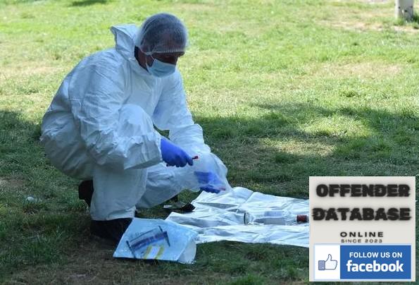 The Rise of Rapes in Eastbourne