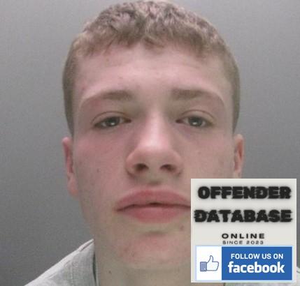 Aiden Gallon paedophile child sex offender