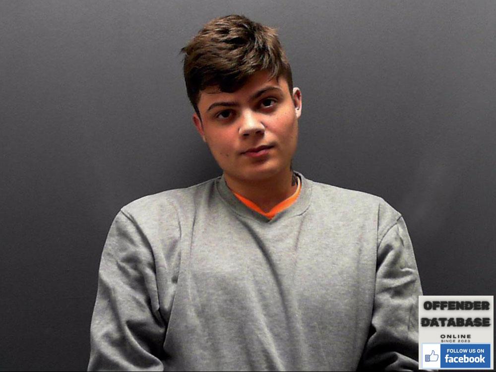 Brandon Hewlett rapist sex offender