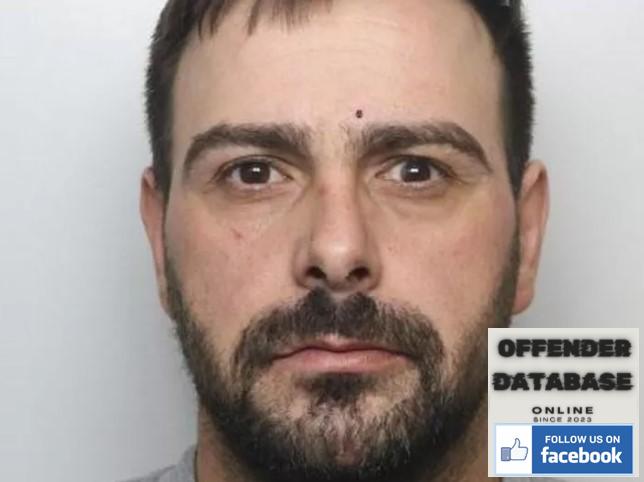 Catalin-Petrisor Luca rapist sex offender