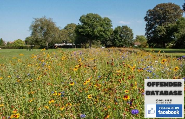 Child rape Hayes End Park