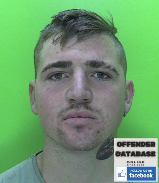 Constantin Covaliu paedophile sex offender - Mansfield