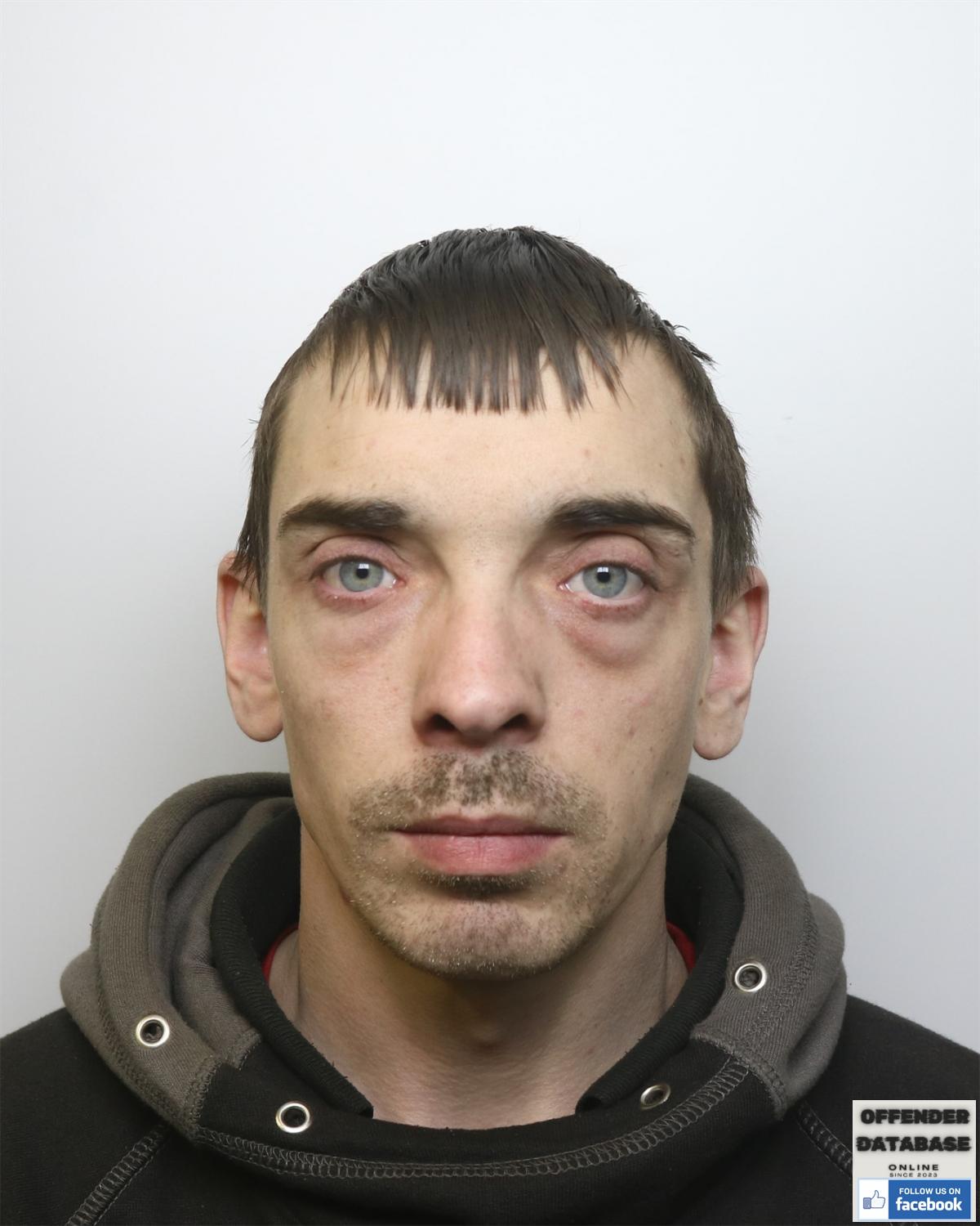 Daniel Robert Henry Thomas paedophile offender