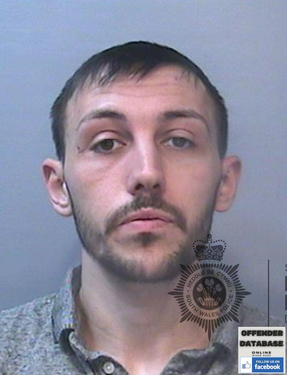 Darryl Price flasher rapist sex offender