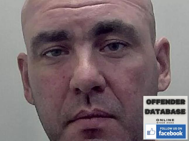 David Haley - Marden