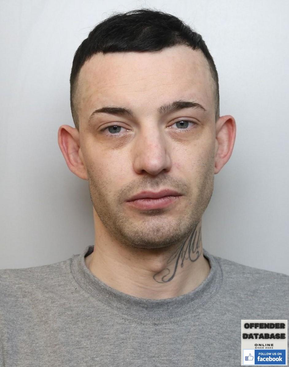 David Madeley - Chester sex offender