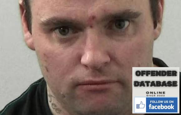 David Young Newcastle paedophile sex offender