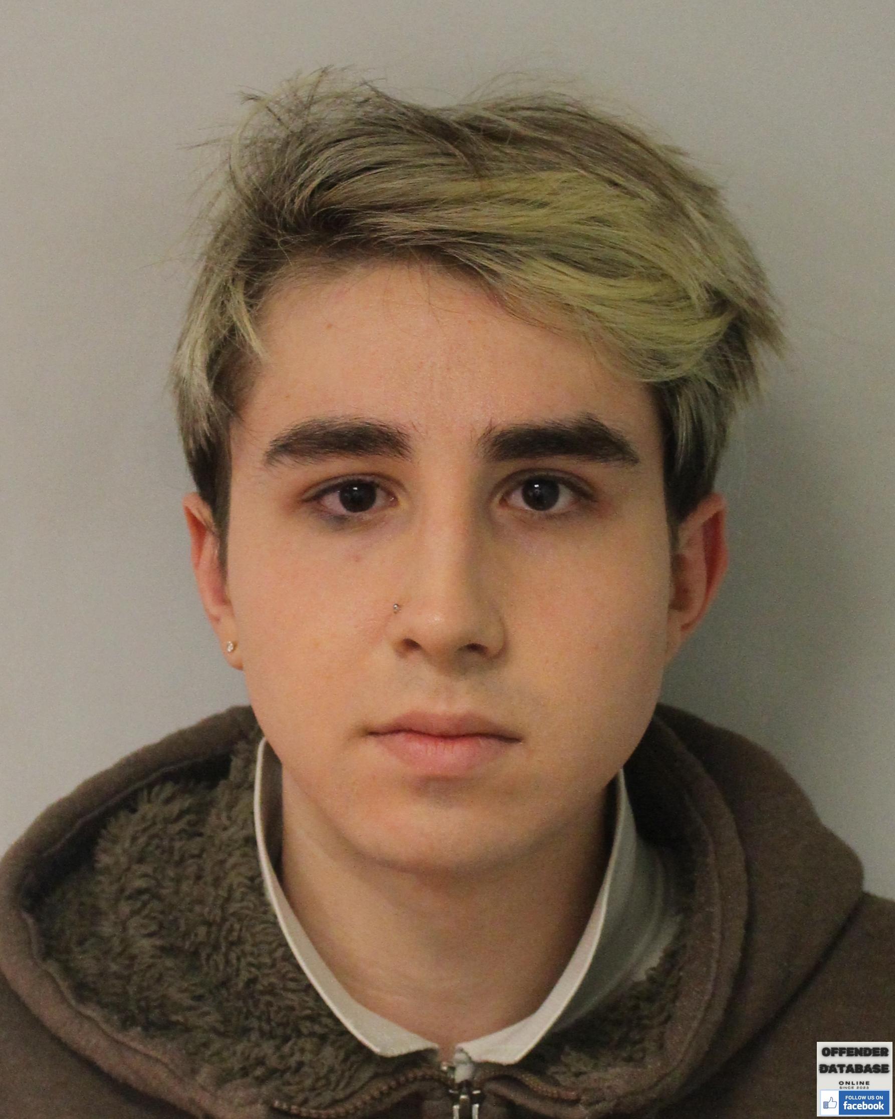 Ethan Payne paedophile child sex offender Ethan Payne paedophile child sex offender