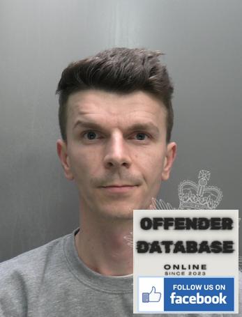 Gabriel Olah - Flint