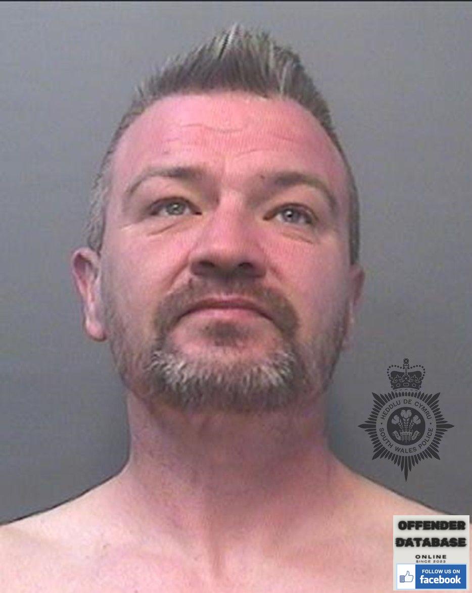 Ian Maclean - Llanelli