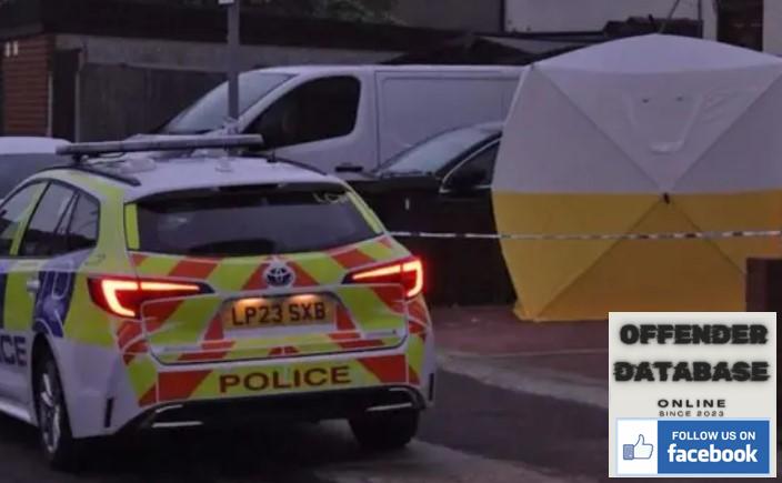 Kulvinder Ram attempted child killer - Dagenham