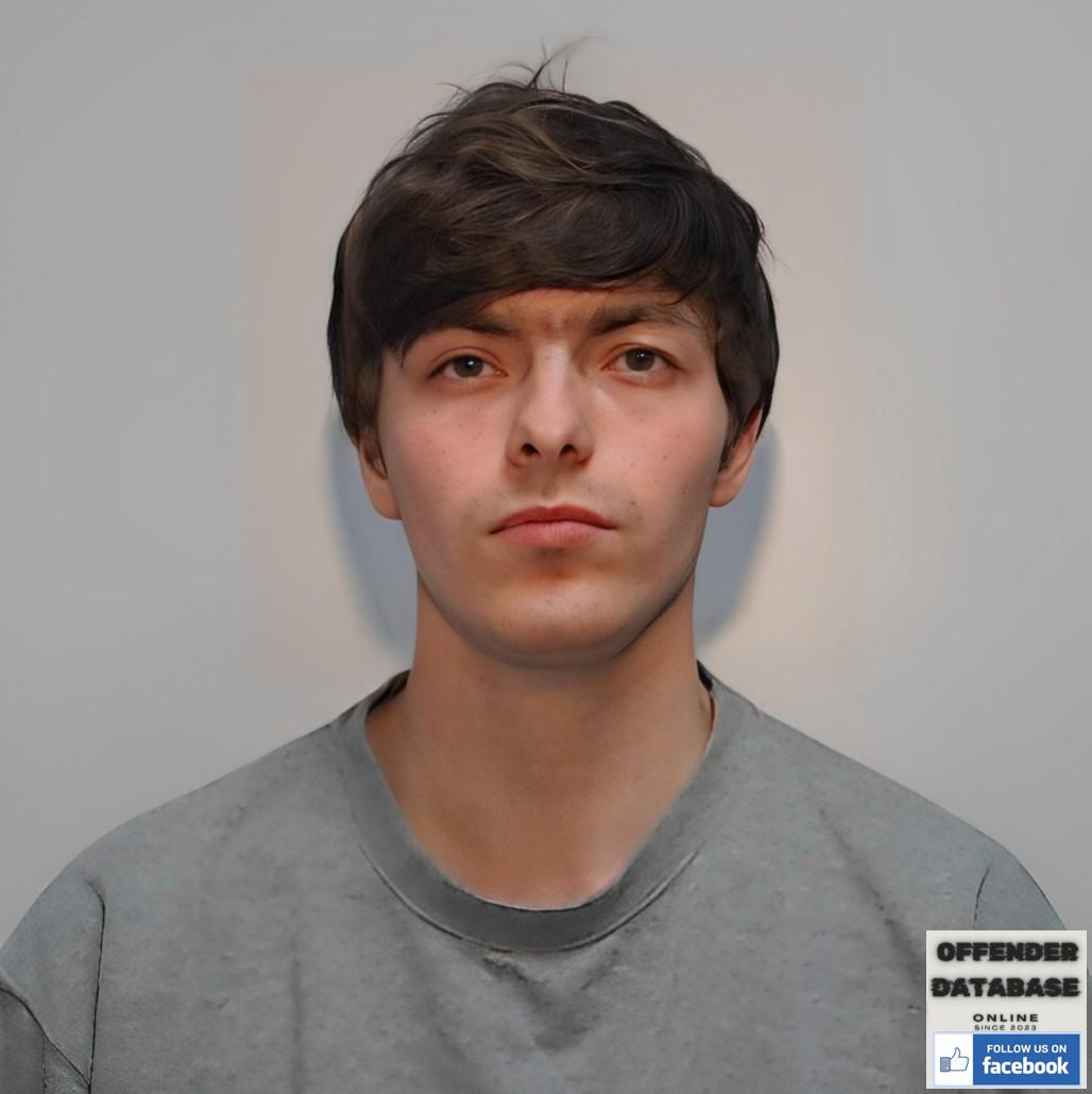 Lewis Jones paedophile child sex offender