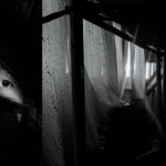 Maris Sliksans rapist sex offender - Peterborough