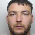 Nicu Botnari rapist sex offender