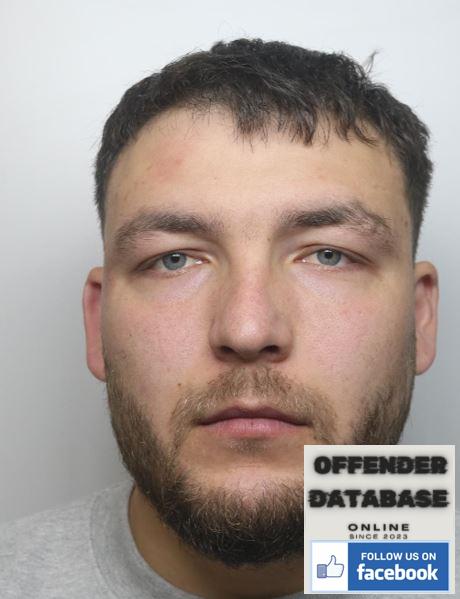 Nicu Botnari rapist sex offender