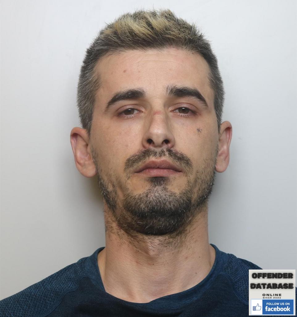 Nikolas Buchholz paedophile child sex offender