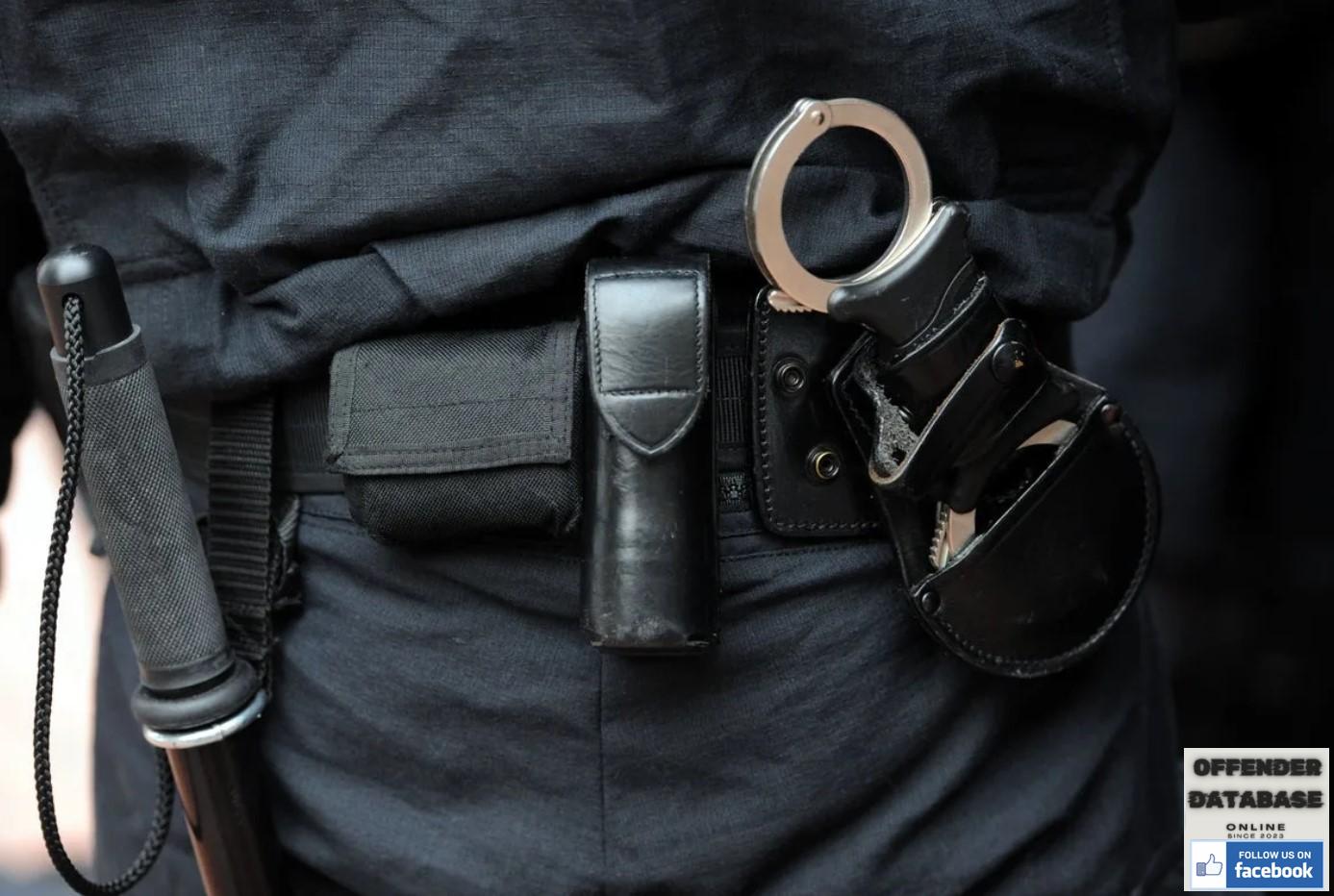 Paedophile British television star