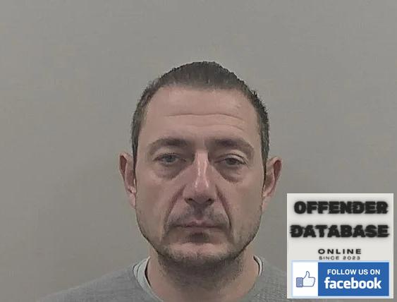 Stephen Miller - Eston