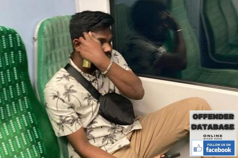 Train sexual assault