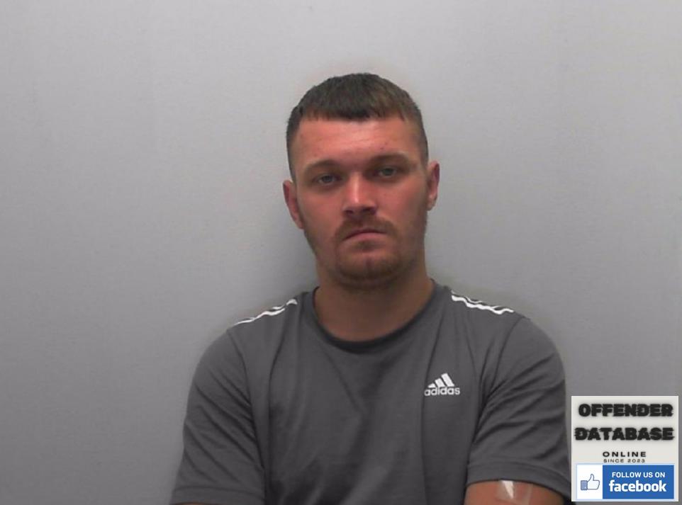 William Wilson Allan rapist sex offender