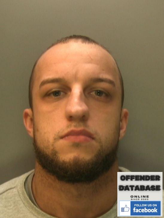 Andrew Wilson Brighton sex offender