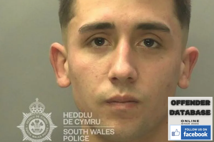 Ben Davies Upper Killay sex offender