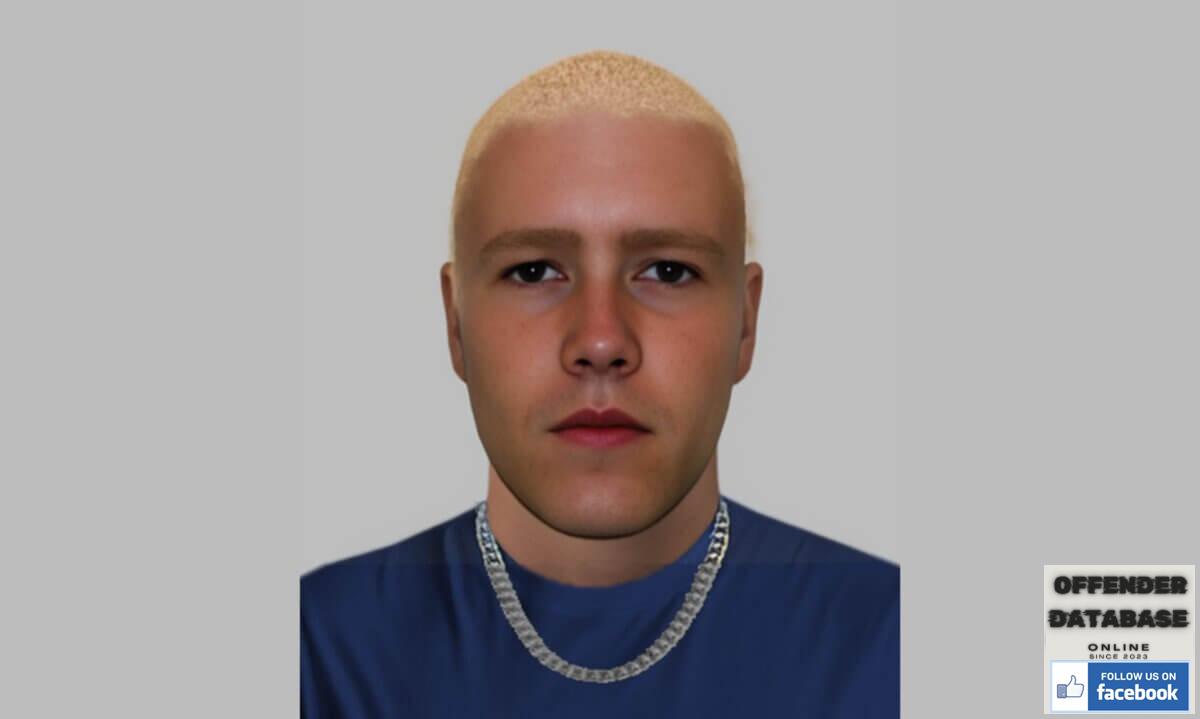 Boardmasters Festival sexual assault 2024