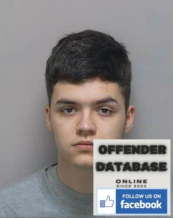 Mason Wearn Bordon rapist sex offender