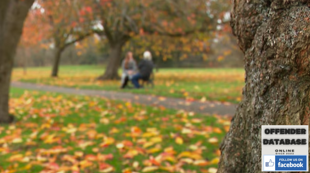 Online grooming victims in the UK