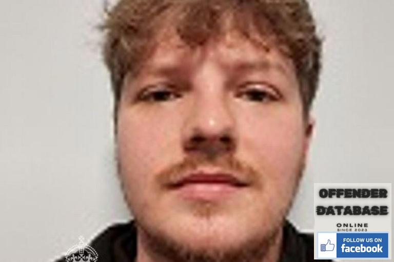 Thomas Vanstone Cardiff paedophile sex offender