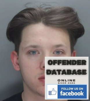 Aiden Peel Aigburth sex offender